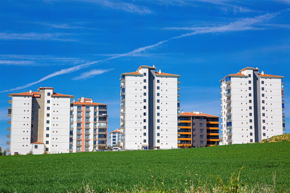 AssetInvest Real Estate group